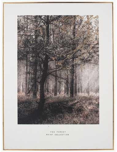 Pacific 'Forest Trail' Print with Gold & Black Frame